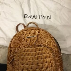 Brahmin